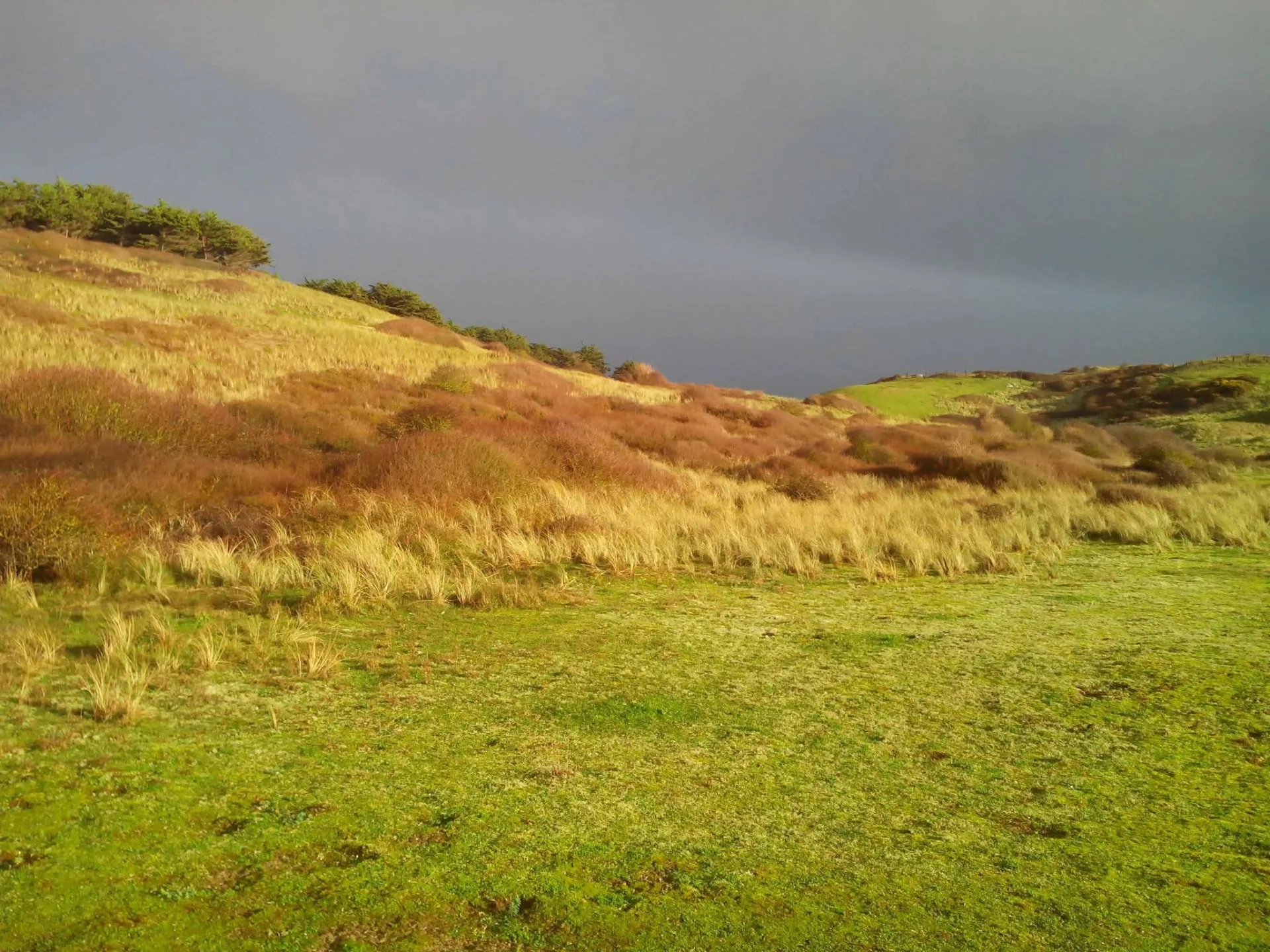 Dunes de Hatainville (alentours) — photo 2