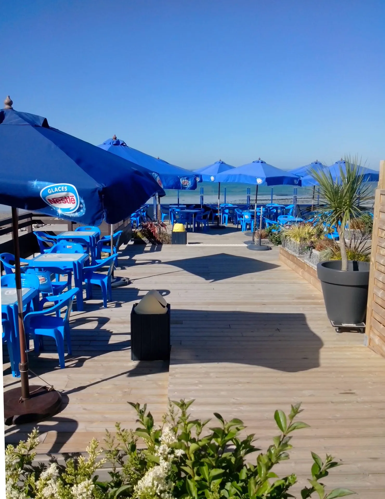 Carpe Diem à Barneville-Carteret